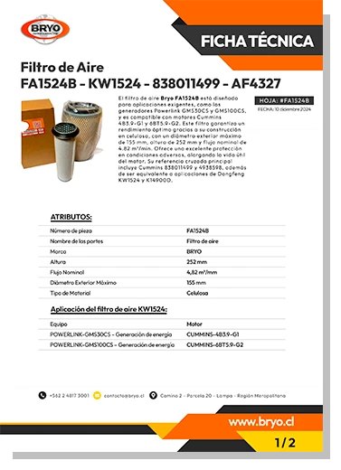 Bryo Filtro de Aire AF55015